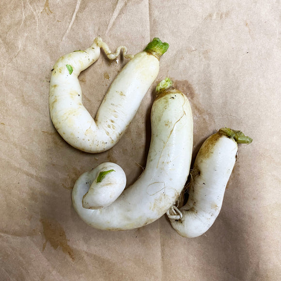 Radish (3pcs)