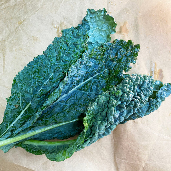 Tuscan Kale (100g)